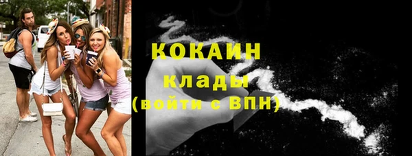 соль ск Алексин