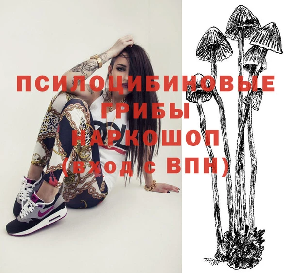 соль ск Алексин